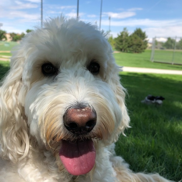 Hello from Denver, Colorado! 🙂 - Picture 2 of 3